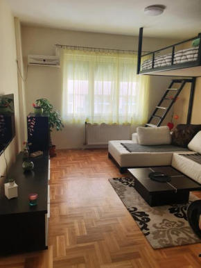 Stankovic apartman